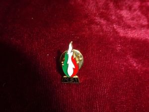 Insigne MSI