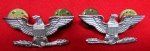 US Vietnam War Era, Full Colonel Rank Insignia, Clutchback Attachments, Sterling