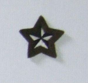 British Army Drivers Sleeve Star