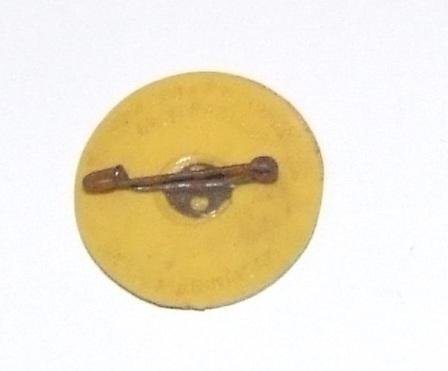 Thuringau NSDAP Day Badge