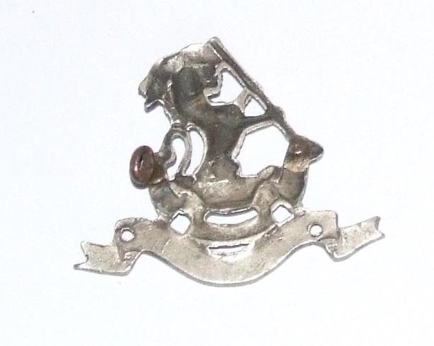 Duke of Wellingtons Regiment Cap Badge