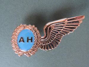 South Africa Air Force 'Air Hostess' Wing