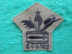 Republic of Korea Marine Corps Senior Parachute / Ranger / Scuba (White Knight) Parachute Wings