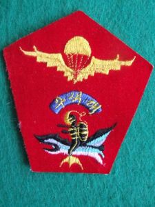 Republic of Korea Marine Corps Basic Parachute / White Knights Parachute Wings
