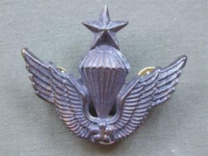 Republic of Korea Army Senior Parachute Wings