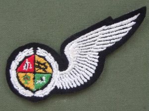 Republic of South Africa Air Force Navigators Wing