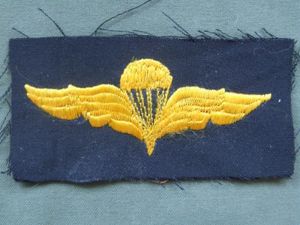 Egypt Army Basic Parachute Wings
