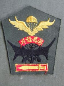 Republic of Korea Marine Corps Basic Parachute / Scuba Recon Parachute Wings