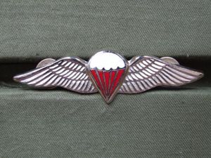 Republic of South Africa Free Fall Parachute Wings