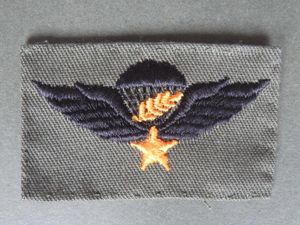 USA (Vietnam) Master Parachute Wings
