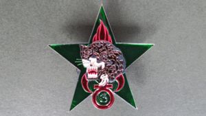 France Foreign Legion 3° Régiment Etranger d' Infanterie, d'Eclaireur Jungle (Jungle Scout) Pocket Crest