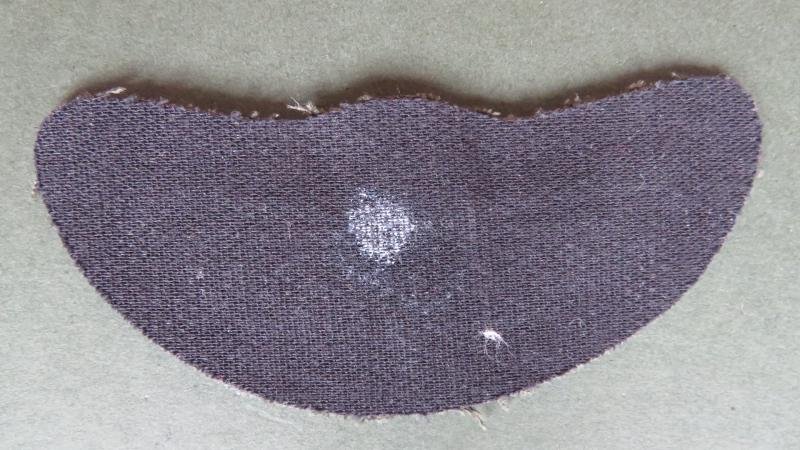 New Zealand Army SAS Parachute Wings