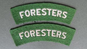 British Army Post WW2 Sherwood Foresters (Nottinghamshire and Derbyshire Regiment) Shoulder Titles