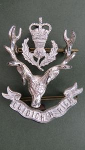 British Army The Queen's Own Highlanders (Seaforth and Camerons) Officers Cap Badge