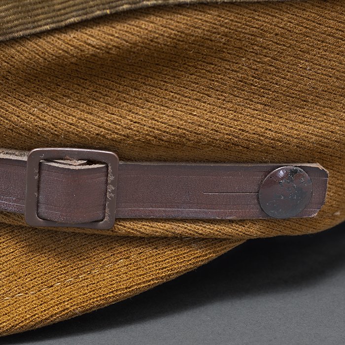 NSE4 Spectacular Sturmabteilung kepi for a Standartenführer from Gruppe Staff Berlin or Standarte Feldherrnhalle — image 11
