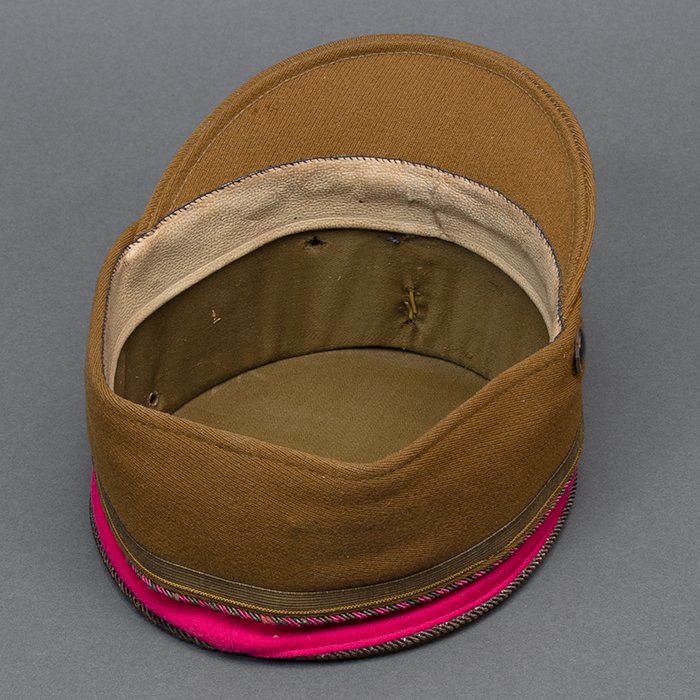 NSE4 Spectacular Sturmabteilung kepi for a Standartenführer from Gruppe Staff Berlin or Standarte Feldherrnhalle — image 18