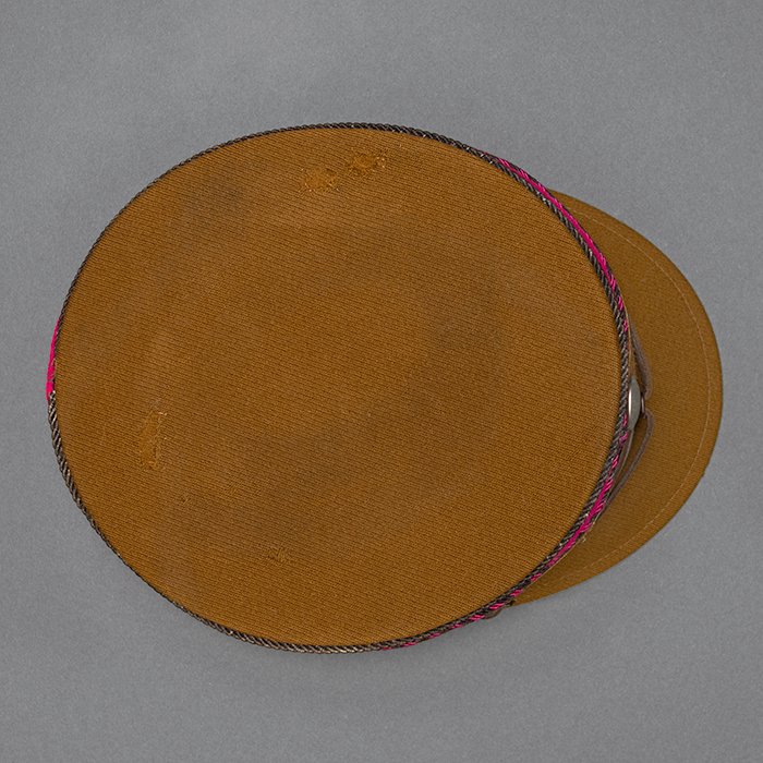 NSE4 Spectacular Sturmabteilung kepi for a Standartenführer from Gruppe Staff Berlin or Standarte Feldherrnhalle — image 19