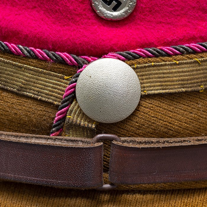 NSE4 Spectacular Sturmabteilung kepi for a Standartenführer from Gruppe Staff Berlin or Standarte Feldherrnhalle — image 7