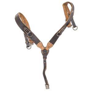 SJA11 Very nice equipment support Y straps