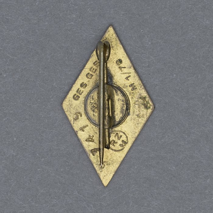 TIP25 Awards, Badges and Membership Documents pertaining to an NSKK-Hauptsturmführer and recipient of the Golden NSDAP Honor Badge — image 16