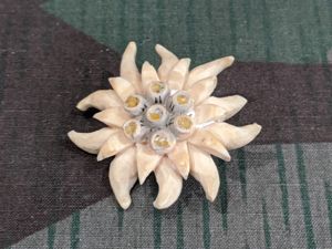 Carved Bone Edelweiss Pin