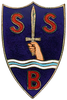 SPECIAL_BADGE_SERVICES